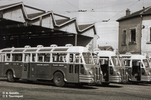 Les Chaussons ASHU n° 1405, 1401 et 1406 au dépôt des Pins en 1951