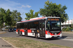 L'Urbanway 12 n° 2412 au nouveau terminus de Ste Foy Ste Barbe le 18/09/2026